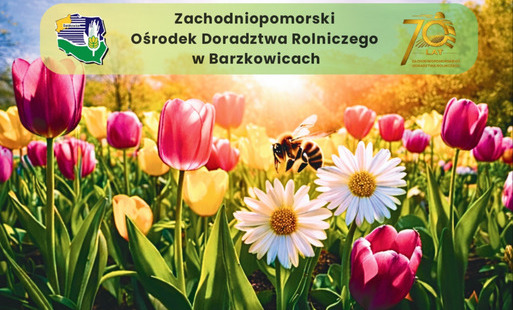 Zdjęcie do Wystawa Ogrodnicza &bdquo;Barzkowicka Wiosna&rdquo;