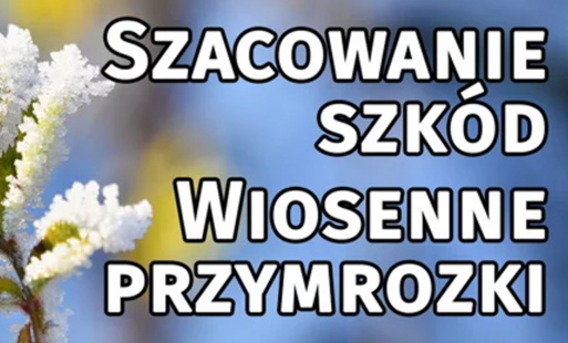 Zdjęcie do Informacja dla rolnika &ndash; ujemne skutki przezimowania i przymrozki wiosenne