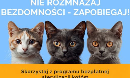 Zdjęcie do Bezpłatna sterylizacja kot&oacute;w